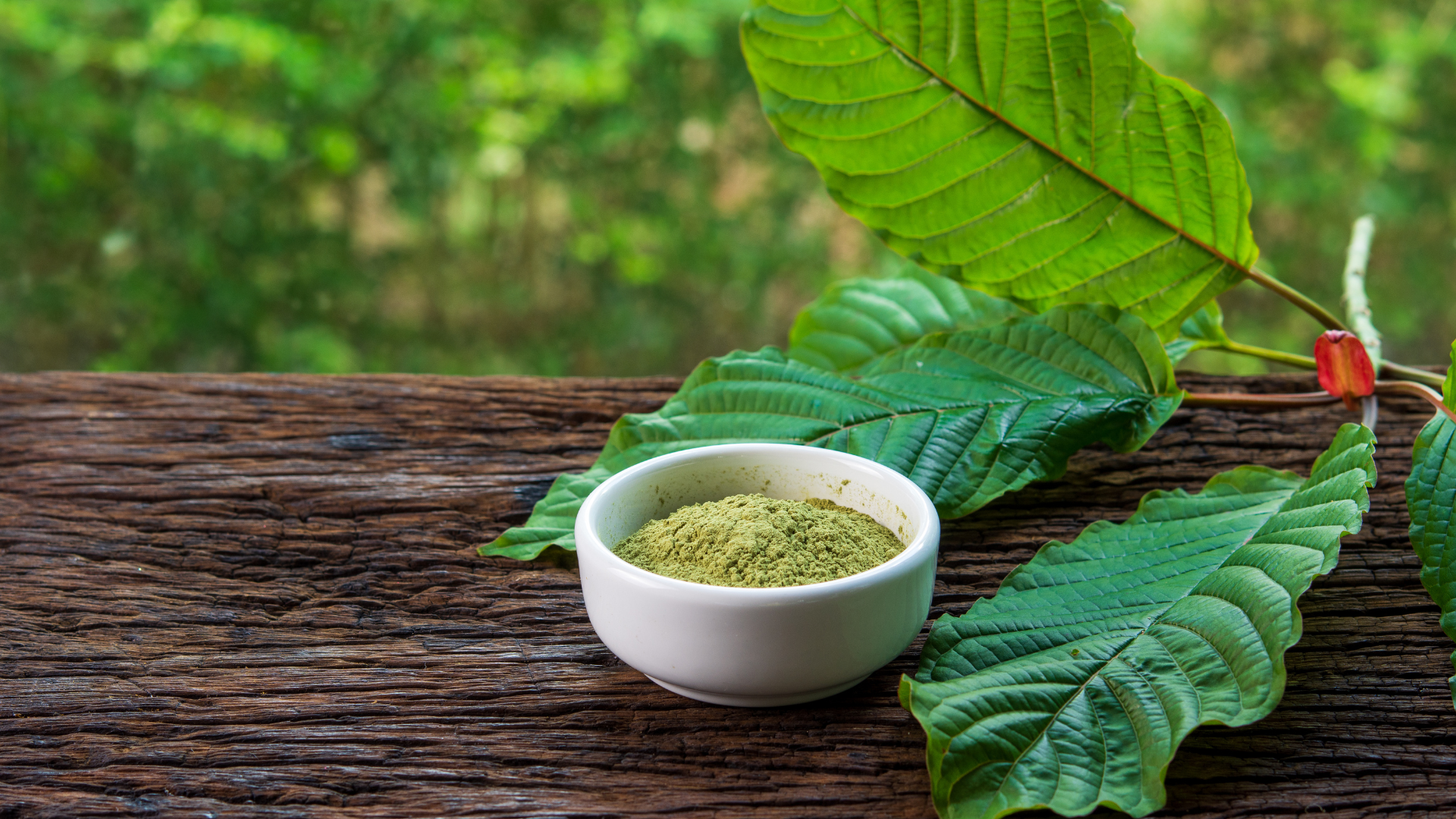 Wie wählt man Kratom?